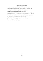 Referāts 'Agresivitāte mūsdienu bērnos', 11.