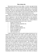 Eseja 'Mans ētiskais stils', 1.