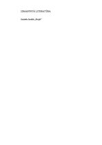 Referāts 'Sarunvalodas vārdu lietojums', 6.