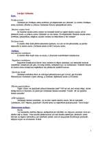 Referāts 'Komercbanku piedāvātie pakalpojumi', 2.