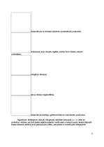 Referāts 'Komercbanku piedāvātie pakalpojumi', 12.