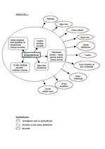 Referāts 'Zemestrīces, to nogulumi un veidošanās apstākļi. Zemestrīces Latvijā', 11.