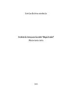 Referāts 'Svešvārdu lietojums žurnālā "Rīgas Laiks"', 1.