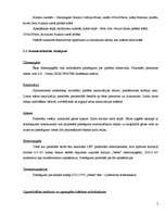 Referāts 'Mākslas galerijas būvdarbu tehnoloģiskais projekts', 5.