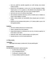 Referāts 'Mākslas galerijas būvdarbu tehnoloģiskais projekts', 13.