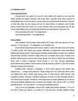 Referāts 'Mākslas galerijas būvdarbu tehnoloģiskais projekts', 19.