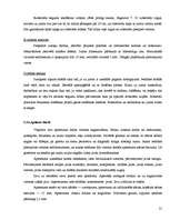 Referāts 'Mākslas galerijas būvdarbu tehnoloģiskais projekts', 21.