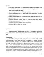 Referāts 'Mākslas galerijas būvdarbu tehnoloģiskais projekts', 22.