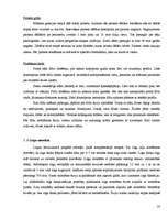 Referāts 'Mākslas galerijas būvdarbu tehnoloģiskais projekts', 23.