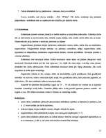 Referāts 'Mākslas galerijas būvdarbu tehnoloģiskais projekts', 25.