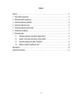 Referāts 'Svešvārdi publicistikā', 2.