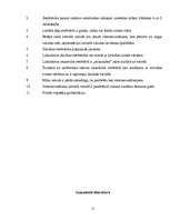 Referāts 'Svešvārdi publicistikā', 11.