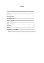 Referāts 'Personības izpēte', 2.