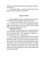 Referāts 'Personības izpēte', 9.