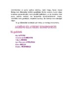 Referāts 'Mūzikas instrumenti viduslaikos un renesansē', 4.