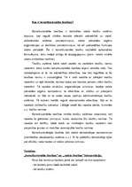 Referāts 'Konstitucionālās tiesības', 2.