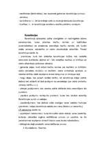 Referāts 'Konstitucionālās tiesības', 5.