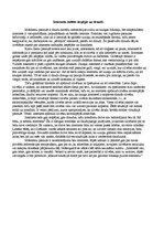 Eseja 'Interneta radītās iespējas un draudi', 1.