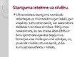 Prezentācija 'Ultravioletais starojums', 12.