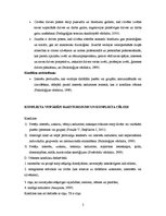 Referāts 'Konflikti', 2.