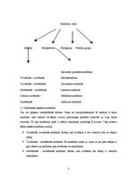 Referāts 'Konflikti', 6.