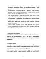 Referāts 'Konflikti', 8.