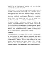 Eseja 'Jurisprudence – glosārijs un tiesību terminoloģijas nozīme', 6.