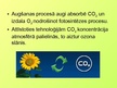 Prezentācija 'Ogļskābās gāzes ietekme uz vidi', 3.