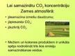 Prezentācija 'Ogļskābās gāzes ietekme uz vidi', 7.