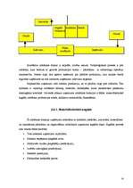 Konspekts 'Uzņēmums tirgus saimniecībā', 14.