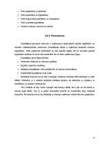 Konspekts 'Uzņēmums tirgus saimniecībā', 16.