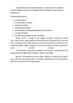 Prakses atskaite 'Sociālā darbinieka prakses atskaite par biroju "Aprūpe mājās"', 9.
