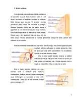 Referāts 'Krūts vēzis', 2.