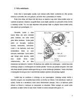 Referāts 'Krūts vēzis', 4.