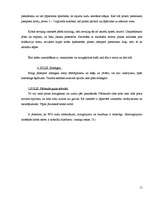 Referāts 'Krūts vēzis', 11.