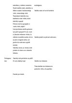 Konspekts 'Stundas plāns latviešu valodā 4.klasei', 2.