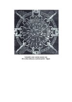 Referāts 'Zodiaka zīmes cauri laikam', 5.