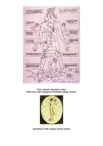Referāts 'Zodiaka zīmes cauri laikam', 15.