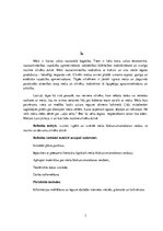 Referāts 'Meža blakusizmantošana', 3.