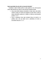 Diplomdarbs 'Stabilitāti un uzticību radoši tēli uzņēmumu korporatīvajos stilos', 7.