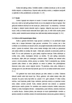 Diplomdarbs 'Stabilitāti un uzticību radoši tēli uzņēmumu korporatīvajos stilos', 16.