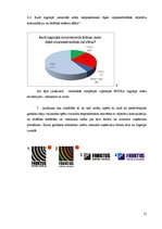 Diplomdarbs 'Stabilitāti un uzticību radoši tēli uzņēmumu korporatīvajos stilos', 31.