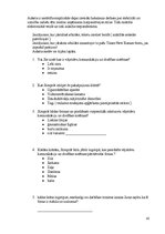 Diplomdarbs 'Stabilitāti un uzticību radoši tēli uzņēmumu korporatīvajos stilos', 42.