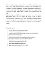 Konspekts 'Žurnālista portfolio - Kārlis Streips', 3.