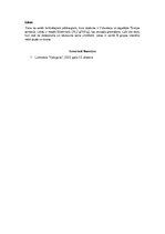 Eseja 'Pākšaugi ir produkts ar pievienoto vērtību', 3.