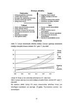 Diplomdarbs 'SIA "NEOSS" attīstības stratēģijas izstrāde', 30.