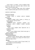 Diplomdarbs 'SIA "NEOSS" attīstības stratēģijas izstrāde', 37.