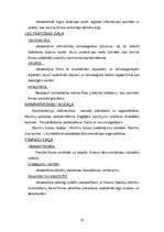 Diplomdarbs 'SIA "NEOSS" attīstības stratēģijas izstrāde', 38.