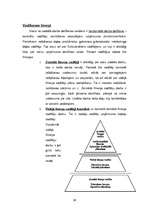 Diplomdarbs 'SIA "NEOSS" attīstības stratēģijas izstrāde', 39.
