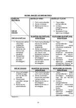 Diplomdarbs 'SIA "NEOSS" attīstības stratēģijas izstrāde', 56.